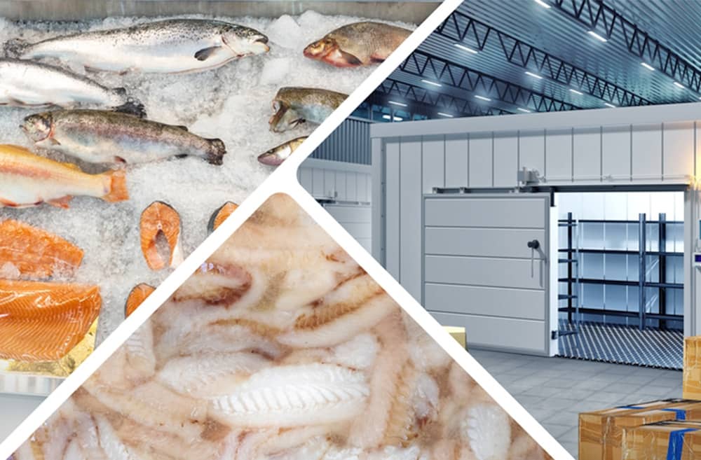 Premium frozen chicken, fish, and beef sourced responsibly and preserved through strict cold-chain systems for maximum freshness and reliable supply.